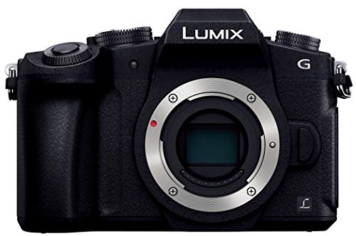 パナソニック ミラーレス一眼カメラ ルミックス G8 ボディ 1600万画素 ブラ(中古品)