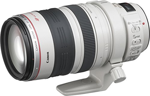 Canon 望遠ズームレンズ EF28-300mm F3.5-5.6L IS USM フルサイズ対応(中古品)