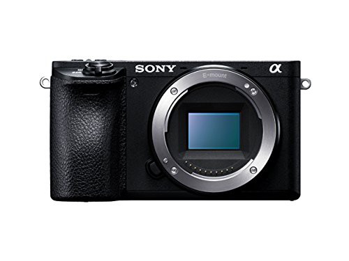 ソニー デジタル一眼カメラ「α6500」ボディSONY α6500 ILCE-6500(品