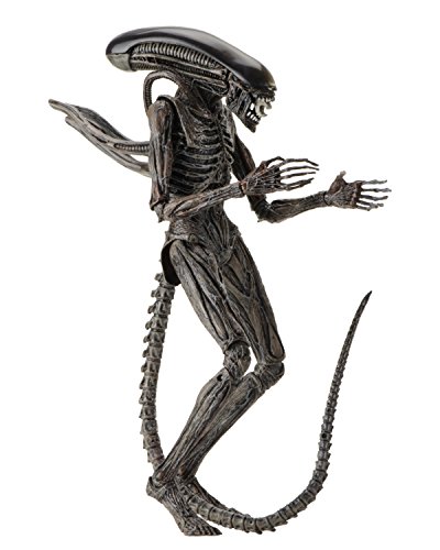 NECA Alien: Covenant - 7 Scale Action Figure - Xenomorph Action Figure(未使用の新古品) 27,619円