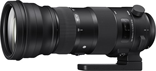 SIGMA 超望遠ズームレンズ Sports 150-600mm F5-6.3 DG OS HSM キヤノン用 (中古品)