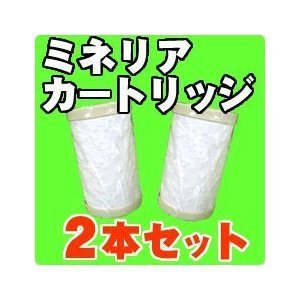 中部エナジス　浄水カートリッジ　２本セット(未使用の新古品)の通販は