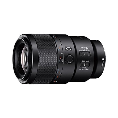 ソニー SONY マクロレンズ FE 90mm F2.8 Macro G OSS Eマウント35mmフルサ (中古品)