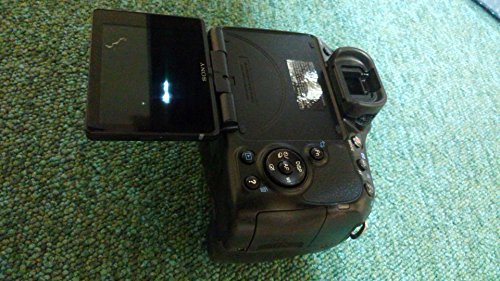 SONY ミラーレス一眼 α65 ダブルズームレンズキット DT 18-55mm F3.5-5.6 (中古品)