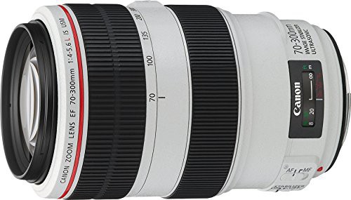 Canon 望遠ズームレンズ EF70-300mm F4-5.6L IS USM フルサイズ対応(中古品)