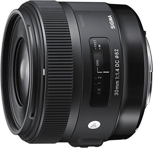 SIGMA 単焦点レンズ Art 30mm F1.4 DC HSM ソニー用 APS-Cサイズ 301620(中古品)