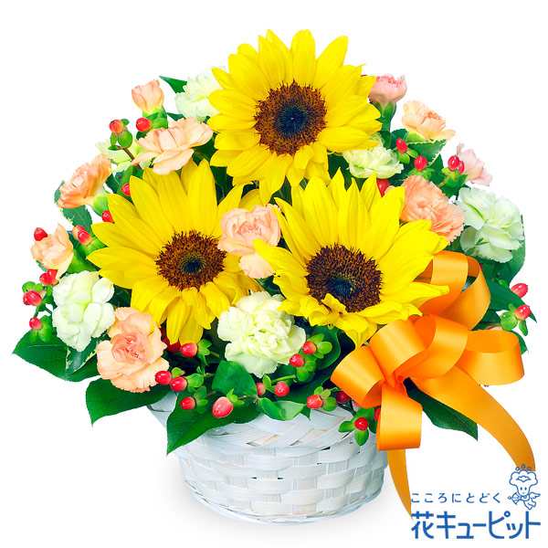 7月の誕生花（ひまわり）】 花 ギフト 誕生日 プレゼント 父母 彼氏彼女 夫婦 友達 記念日 花キューピットのひまわりのアレンジメンの通販はau  PAY マーケット インターネット花キューピット au PAY マーケット－通販サイト