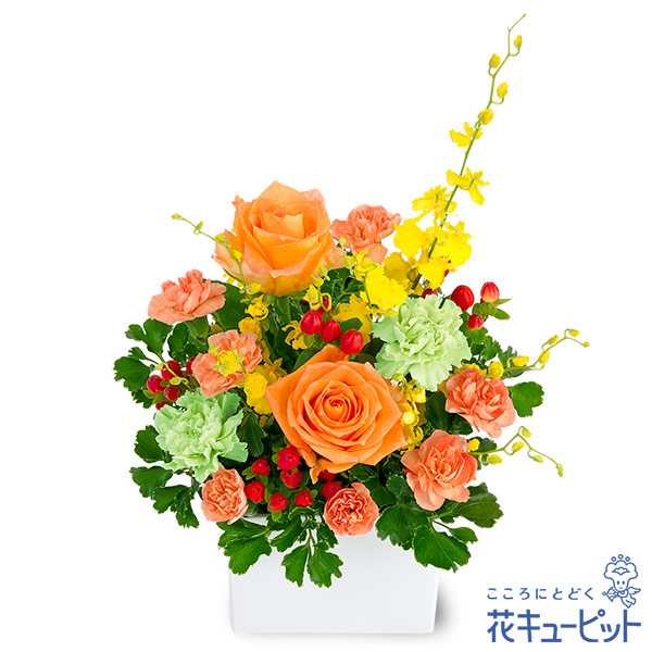 お祝い 花キューピットのオレンジバラの華やかアレンジメント 花 誕生日 記念日 歓送迎 結婚祝いyc00 5153の通販はau Pay マーケット インターネット花キューピット