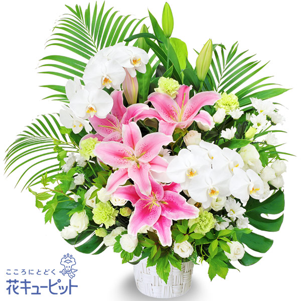 17時迄の注文で翌日届可お彼岸 仏花 供花 法要 法事 仏事 弔事 枕花 お盆 初盆新盆 四十九日 一周忌 【お供え・お悔やみの献花】花キューピットのお供えのアレンジメント yr00-512078