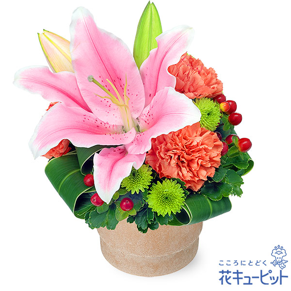 17時迄の注文で翌日届可【誕生日の花】 フラワーギフト  花 誕生日 お祝い 記念日 プレゼント 彼氏彼女 夫婦 祖父母 友達 友人  花キューピットのユリのウッドポットアレンジ ya00-512614の通販は 5,390円