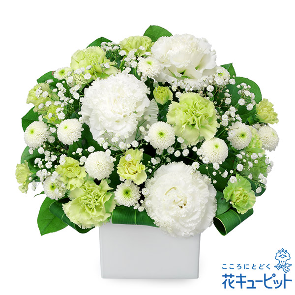 17時迄の注文で翌日届可 お彼岸 仏花 供花 法要 法事 仏事 弔事 枕花 お盆 初盆新盆 四十九日 一周忌 【お供え・お悔やみの献花】花キューピットのお供えのアレンジメント yr00-512702