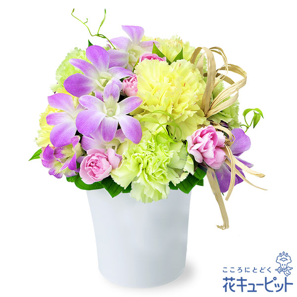 17時迄の注文で翌日届可【出産祝い】 花 ギフト お祝い 記念日 ママ 赤ちゃん プレゼント 花キューピットのデンファレのナチュラルアレンジメント ye00-524123