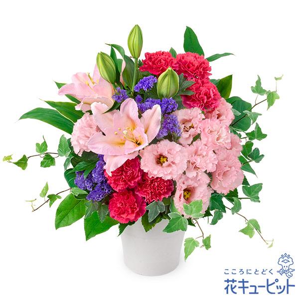 【6月の誕生花（ユリ）】  花 誕生日 お祝い 記念日 プレゼント 彼氏彼女 夫婦 祖父母 友達 友人  花キューピットのピンクユリのナチュラルなアレンジメント ya06-524400