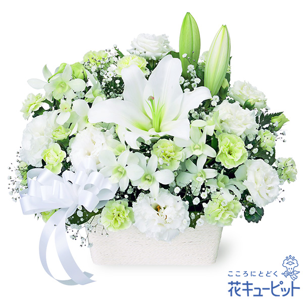 お盆】 新盆 初盆 供花 仏花 法事 仏事 お悔やみ お供え 供物 花