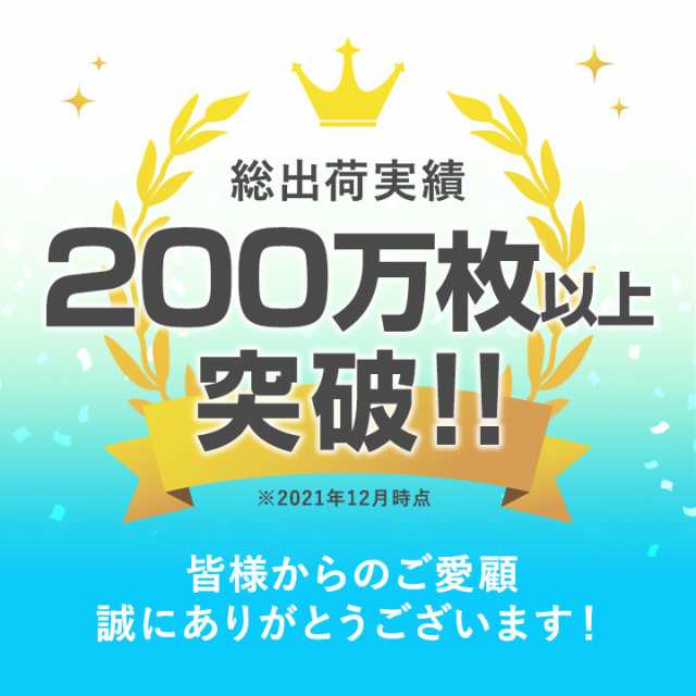 DAIWA 15 電動リール レオブリッツ 300J 保護 フィルム OverLay Paper ダイワ リール用保護フィルム 書き味向上  紙のような描き心地の通販はau PAY マーケット - 【レビューで＋P1%キャンペーン中】ビザビ | au PAY マーケット－通販サイト