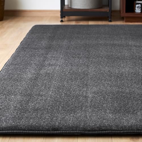 アイリスオーヤマ カーペット ラグ クッションラグ 185×240cm 全厚約3cm 滑り止め付き ホットカーペット対応 2畳 はっ水加工 遮音効果 低ホルム もちもち 北欧 おしゃれ マット ACRB-1824 グレー...