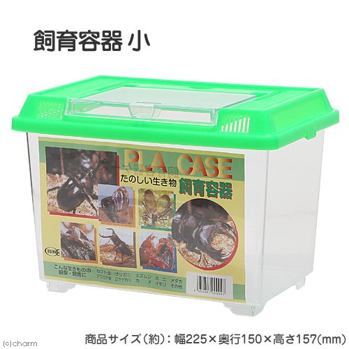 プラケース 飼育容器 小 緑（225×150×165mm） 虫かご 昆虫