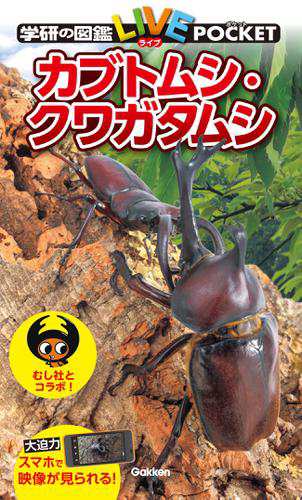 カブトムシ クワガタムシの通販はau Pay マーケット ブックパス For Au Pay マーケット