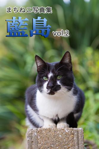 まちねこ写真集 藍島 Vol 2の通販はau Pay マーケット ブックパス For Au Pay マーケット