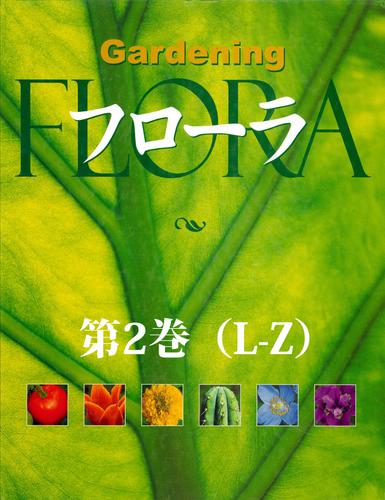 近代日本の音楽百年 黒船から終戦まで 第2巻 近代日本の音楽百年 黒船から終戦まで 第二巻 デモクラシイの