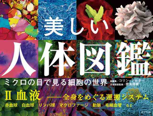 美しい人体図鑑 ミクロの目で見る細胞の世界 ＩＩ 血液 ──全身をめぐる運搬システムの通販はau PAY マーケット - auブックパス for au  PAY マーケット | au PAY マーケット－通販サイト
