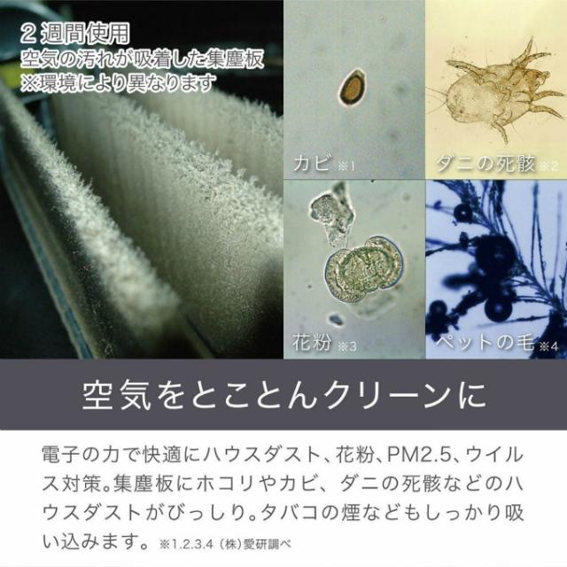 ＧＲＡＮＤＥ 【ご自宅配送限定】‥_5