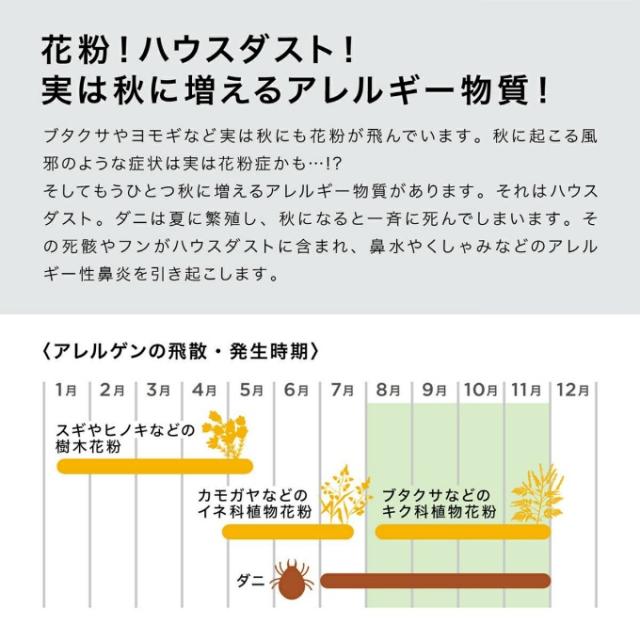 ＧＲＡＮＤＥ 【ご自宅配送限定】‥_13