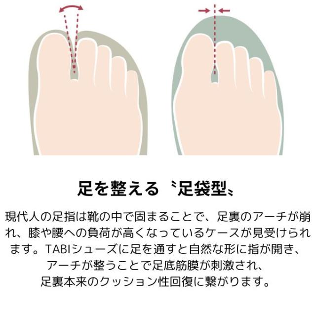 丸五 MARUGO 足袋 レディース coppelia lily 20268【ご自宅配送限定】 ‥