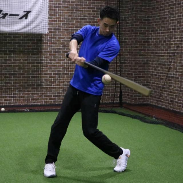 フィールドフォース FIELDFORCE 野球 トレーニングバット 一般用