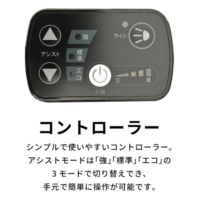 ペルテック PELTECH 自転車 20型電動アシスト自転車 フル装備6段 アルミ折り畳み TDN-212L12AH 【メーカー直送】【ご自宅配送限定】‥_10