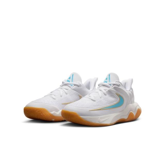 ナイキ(NIKE) バスケットシューズ ジュニア 25FA ヤニスイモータリティ4GS IH7664-100