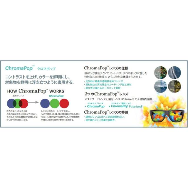 スミス SMITH 偏光サングラス ピンポイント Pinpoint Matte Tort_1
