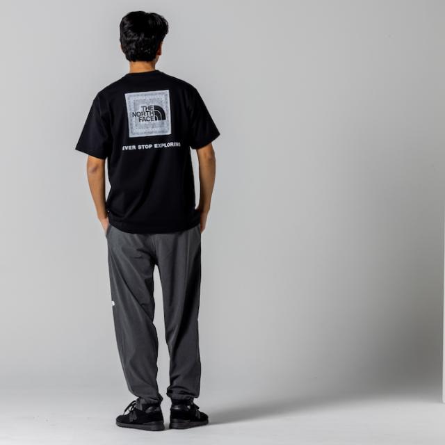 ザ・ノース・フェイス ロングパンツ メンズ FLEXIBLE LONG PT NB12582-ZC ノースフェイス THE NORTH FACE_4