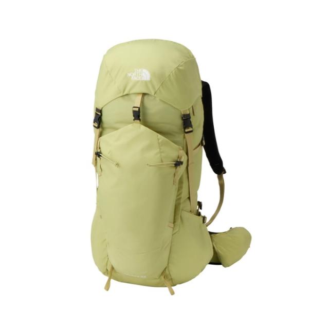 ザ・ノース・フェイス(THE NORTH FACE) バックパック メンズ レディース テルス35 NM62368-PE 【国内正規品】