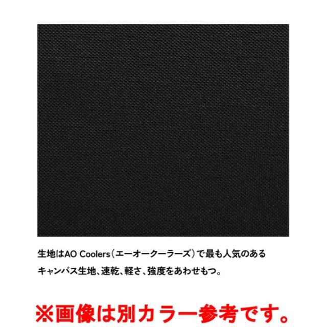 エーオークーラー AO Coolers ソフトクーラー AOクーラーキャンバス 8.5L AO9MY