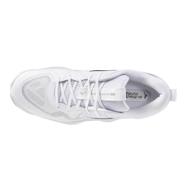 ミズノ バレーシューズ メンズ レディース ウエーブモーメンタム