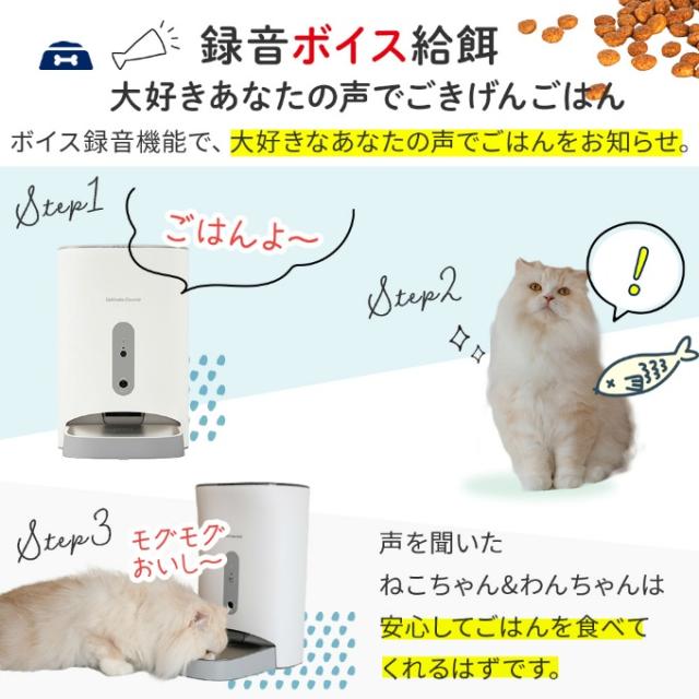 【正規品】カリカリマシーンV2C うちのこエレクトリック ペット 自動給餌器 カメラ付き スマホ操作 F11-C 【ご自宅配送限定】‥_13