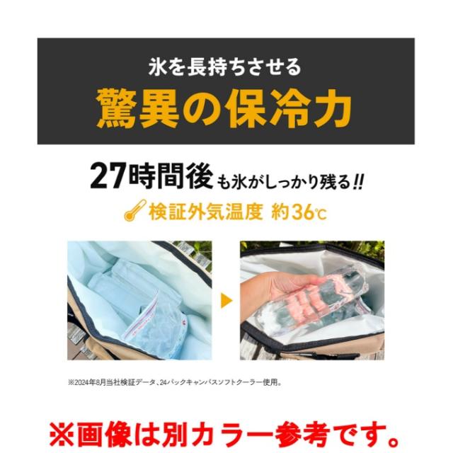エーオークーラー AO Coolers ソフトクーラー AOクーラーキャンバス 8.5L AO9BK