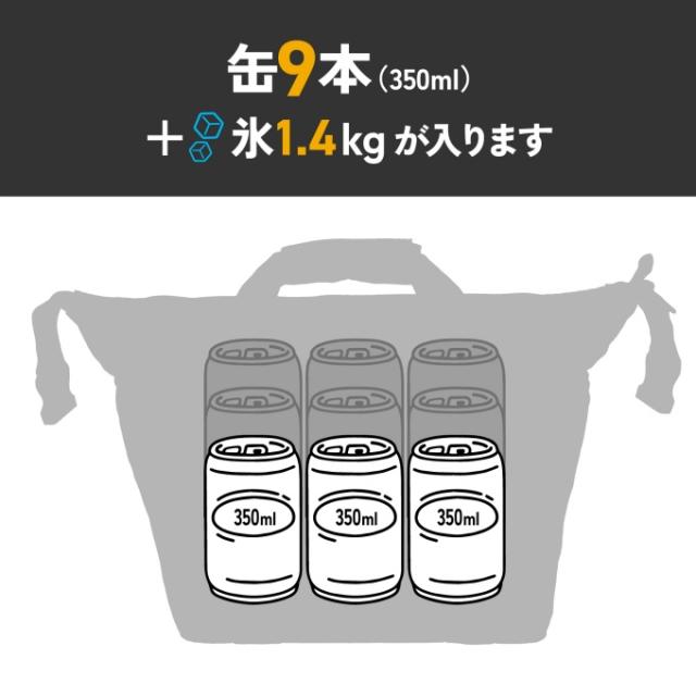 エーオークーラー AO Coolers ソフトクーラー AOクーラーキャンバス 8.5L AO9BK