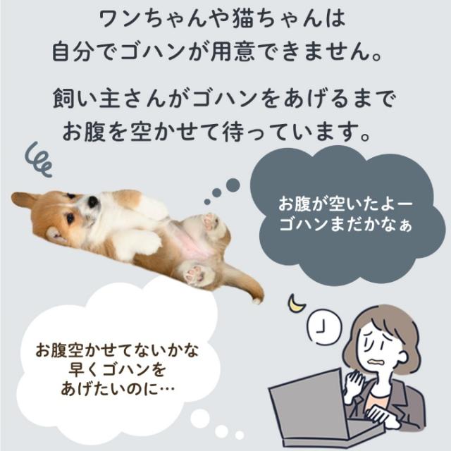 【正規品】うちのこエレクトリック 自動給餌器 カリカリマシーンFR ウェットフード対応 タイマー自動 充電式電池不要 UE-TM-FR 【ご自宅配送限定】‥_1