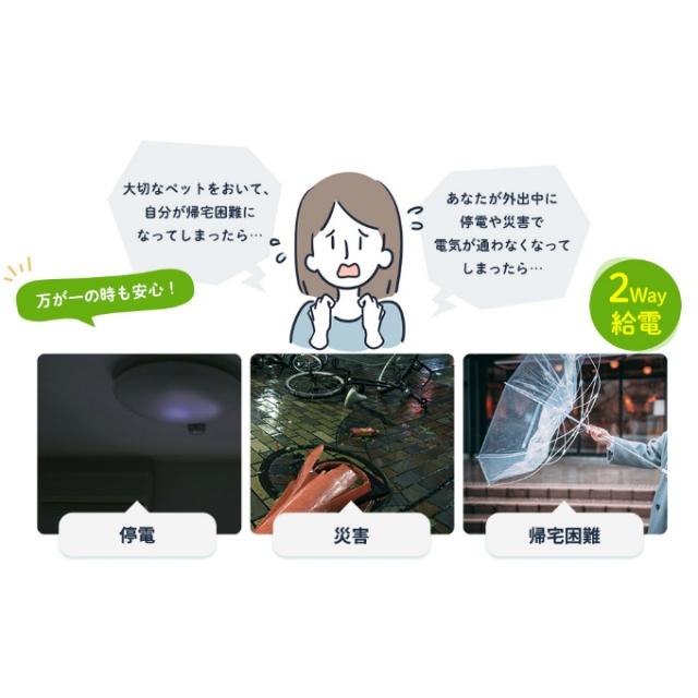 【正規品】うちのこエレクトリック 自動給餌器 カリカリマシーンFR ウェットフード対応 タイマー自動 充電式電池不要 UE-TM-FR 【ご自宅配送限定】‥_11
