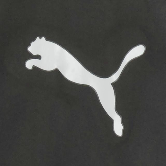 プーマ(PUMA) ウインドブレーカー 上下セット メンズ TAD 裏起毛トリコットWBK JK+TAD 裏起毛トリコットWBK PT 528011+528012_13