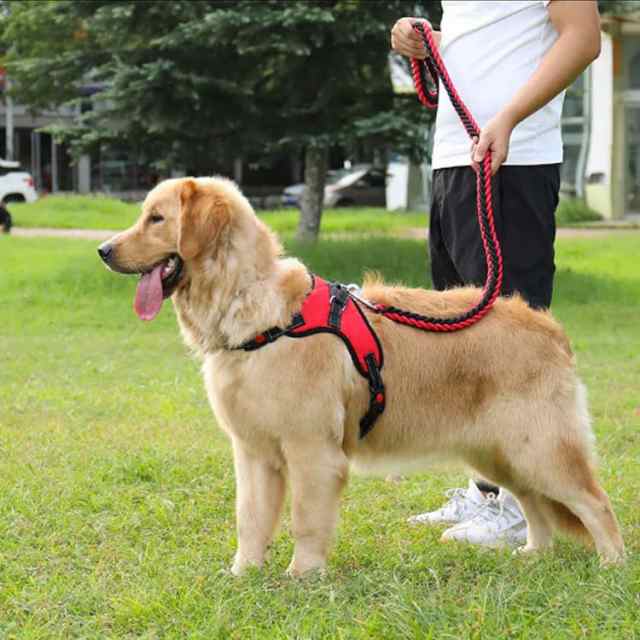 全10色×3点セット！犬 ハーネス ペットハーネス 中型犬 大型犬
