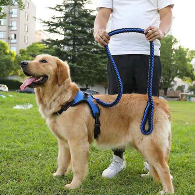 全10色×3点セット！犬 ハーネス ペットハーネス 中型犬 大型犬