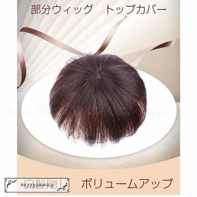 部分ウィッグ 人毛100% トップカバー ウィッグ かつら ショート ヘアピース 自然 ポイントウィッグ 増毛 白髪隠し ボリューム 総手植え  の通販はau PAY マーケット - shiseninshou