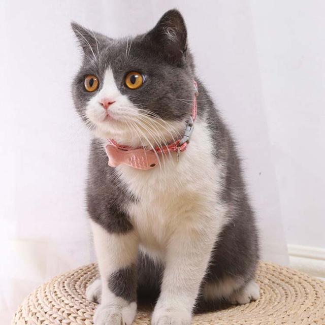 送料無料 猫 首輪 魚 セーフティバックル ネコ ねこ おしゃれ 超小型犬 安全 可愛い かわいい ネクタイ 猫用首輪 安全バックル リの通販はau Pay マーケット Shiseninshou