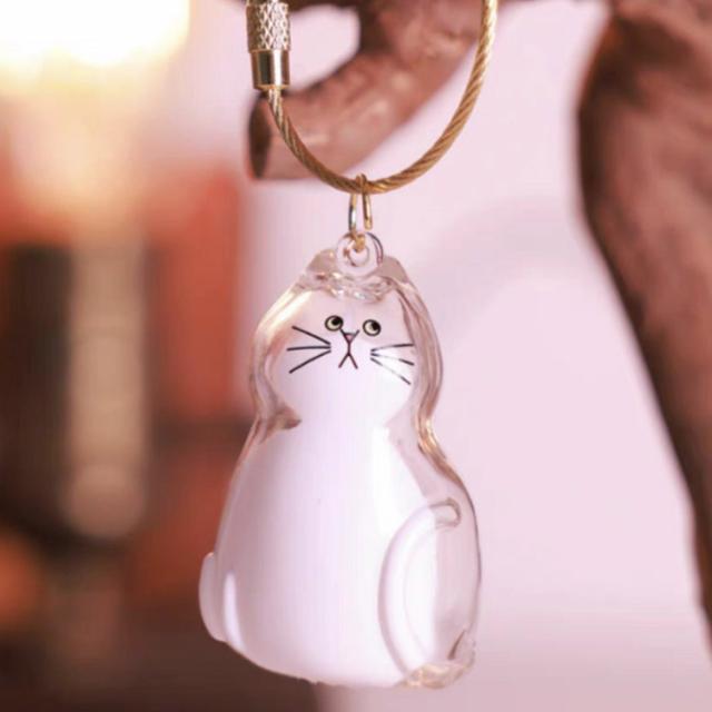 キーホルダー 猫毛 【5個セット】猫の毛収納ボトル キーホルダー 猫の