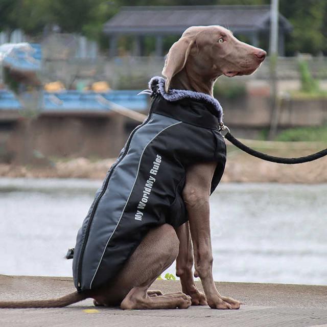 犬服 冬服 中綿ベスト ドッグウェア ジャケット 小型犬 中型犬 大型犬