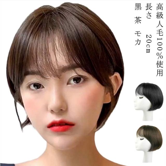 人毛100％ ショート 自然 自然色 黒 茶 モカ ミセス 20cm フルウィッグ
