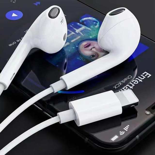 apple lightning 安い イヤホン 音質